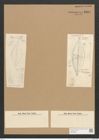 Diatomeae indet. (de-Toni-Nr.: Species 1263 ?) Zeichnungen Sammlung Grunow Nr. 2461 (NHMW-BOT-W0369633)